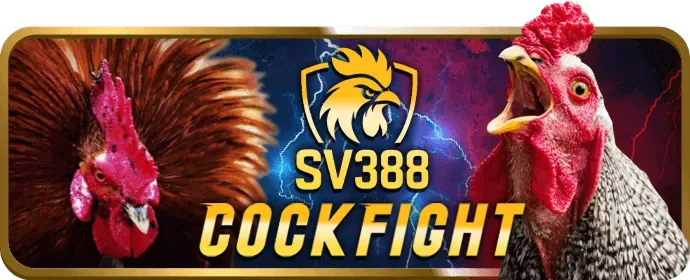 Giao diện đặt cược thể thao Betvisa APK