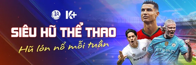 Đa dạng môn thể thao Betvisa APK